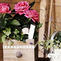 offrir des fleurs signification